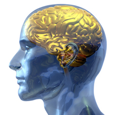 Neuropsychology and Forensic Psychology